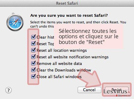 Sélectionnez toutes les options et cliquez sur le bouton de 'Reset' Sélectionnez toutes les options et cliquez sur le bouton de 'Reset'