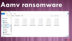 Aamv ransomware