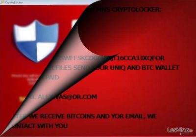 MNS Cryptolocker a-t-il un lien avec CryptoLocker ?