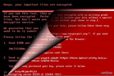 Une image représentant le virus NotPetya
