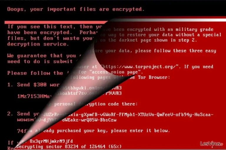 The image illustrating NotPetya virus
