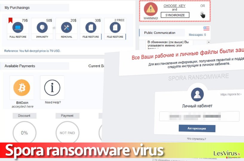 Image du site de paiement du virus Spora